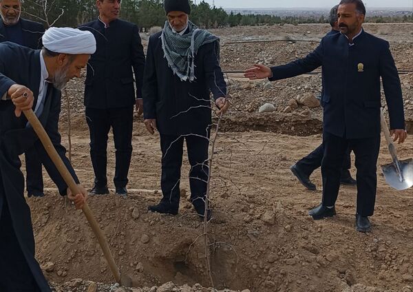 کاشت درخت توسط خادمیاران رضوی در شهرستان خلیل‌آباد 