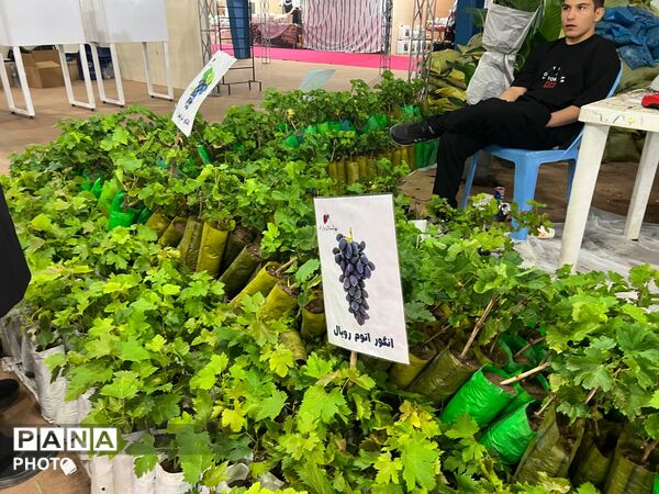اولین نمایشگاه بهاره گل و گیاه و سوغاتی های محلی در شهرکرد