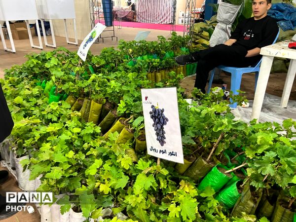 اولین نمایشگاه بهاره گل و گیاه و سوغاتی های محلی در شهرکرد