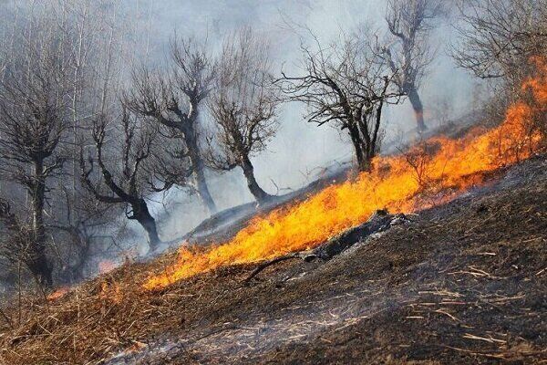 لزوم نظارت بر نحوه مدیریت اطفای حریق در عرصه‌های منابع طبیعی