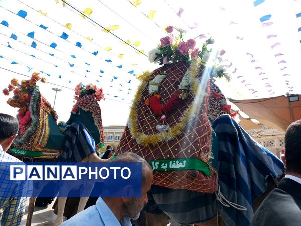 کاروان نمادین سالروز ورود حضرت معصومه(س) به قم 