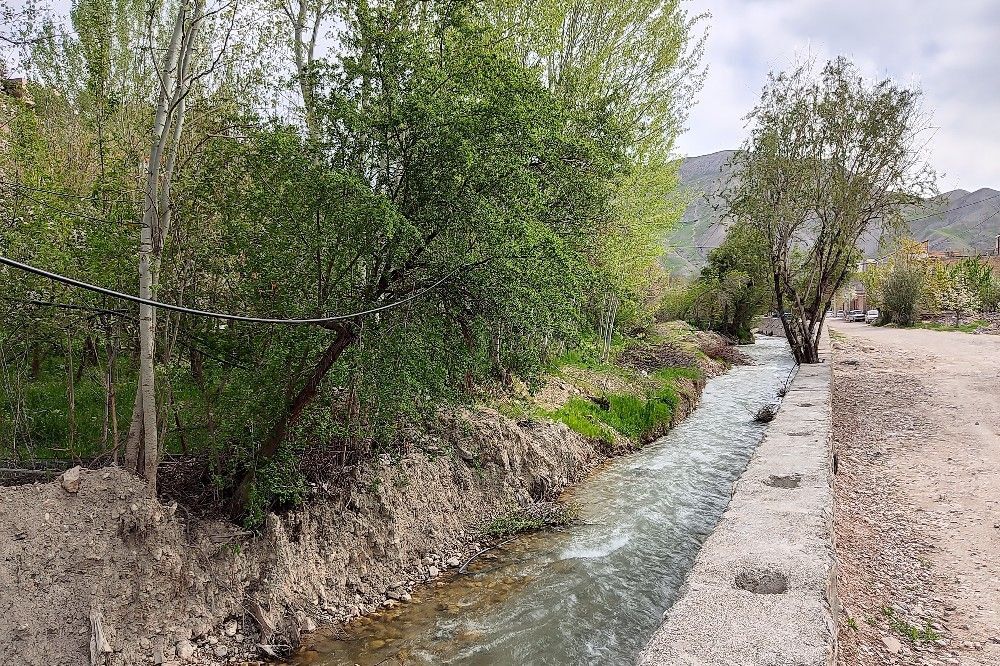 آلبوم تصویری از طبیعت زیبای شهر بار در اردیبهشت‌ماه  ۱۴۰۵ -1