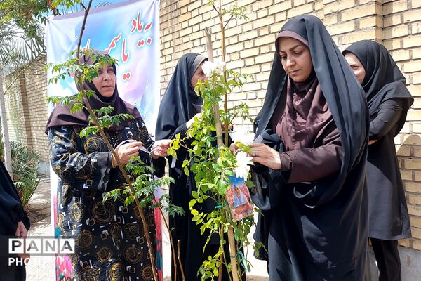 کاشت نهال به یاد یاسمن‌های میناب و شهیده دانش‌آموز نازنین زهرا سیفی 