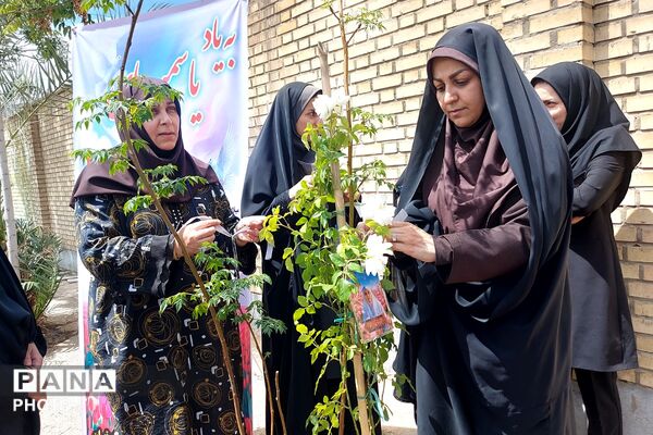 کاشت نهال به یاد یاسمن‌های میناب و شهیده دانش‌آموز نازنین زهرا سیفی 
