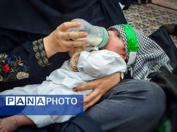 حماسه عشق و وفا در جمع شیر‌خوارگان حسینی