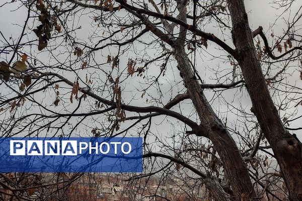 چهره شفاف و دل انگیز شهربارنیشابور با بارش  باران پاییزی  