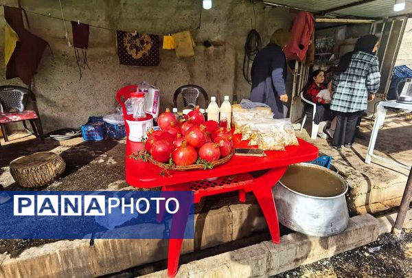 برگزاری جشنواره اناردون در روستای محمودآباد شهرستان فیروزکوه
