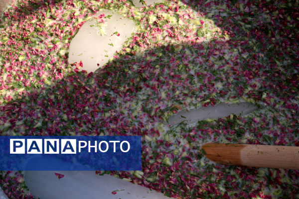 پیاده‌روی جاماندگان اربعین حسینی در تبریز