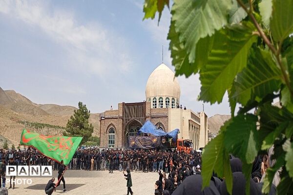 آیین باشکوه عزاداری امام حسین علیه السلام در روز عاشورای حسینی-۲