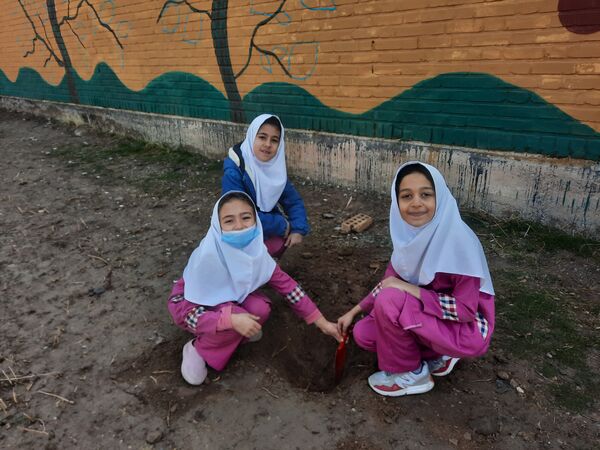 مراسم کاشت نهال در دبستان سید قطب رادکان 