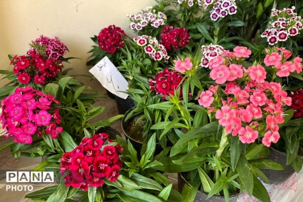 عطر گل‌ها و رنگ هنر در مدرسه فنی‌وحرفه‌ای هجرت به هم آمیخت