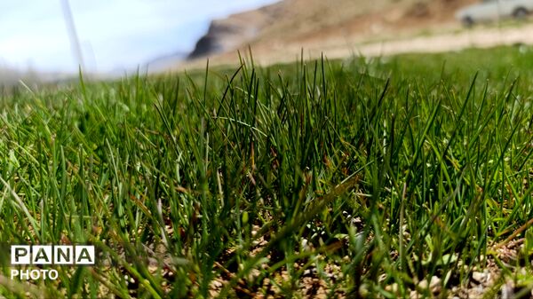بردنکان؛ یکی دیگر از جاذبه های گردشگری روستای ده‌چشمه
