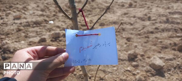 روز درختکاری در شهرکرد 