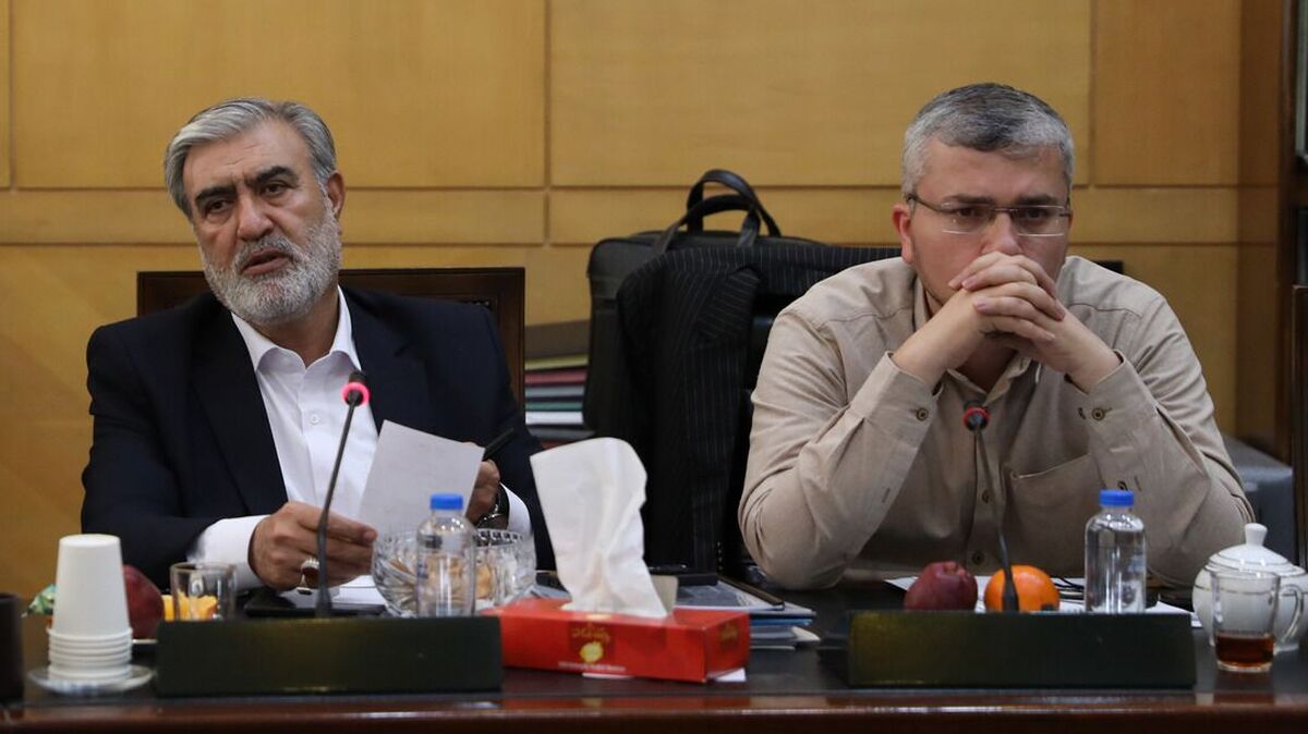 کلیات طرح اساسنامه سازمان ملی مهاجرت تصویب شد