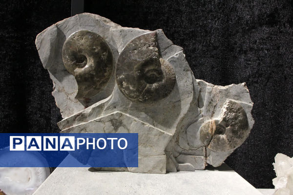 افتتاح نمایشگاه فناوری‌های معدنی در یزد