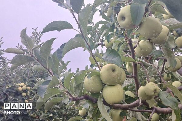 باران شدید در روستای مرزی قَتلیش