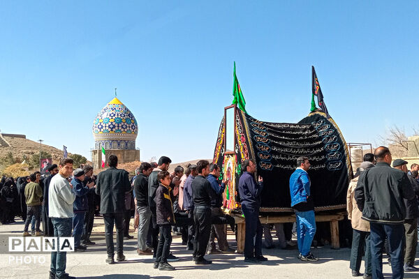 نخل‌برداری بنادکوک‌دیزه در سوگ امام علی (ع)