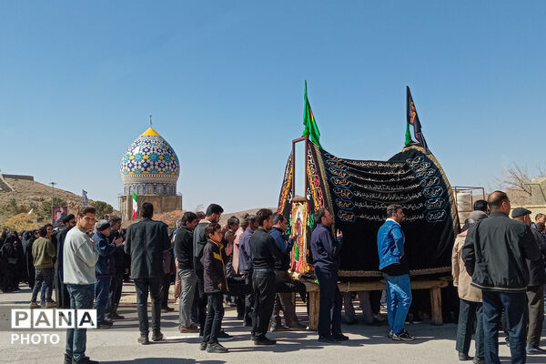 نخل‌برداری بنادکوک‌دیزه در سوگ امام علی (ع)