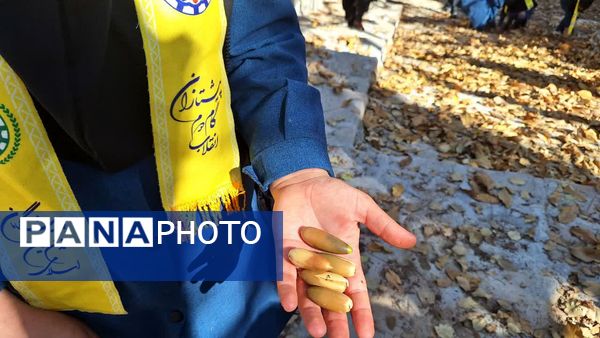 سومین اردوی تمشک کهگیلویه‌ و بویراحمد