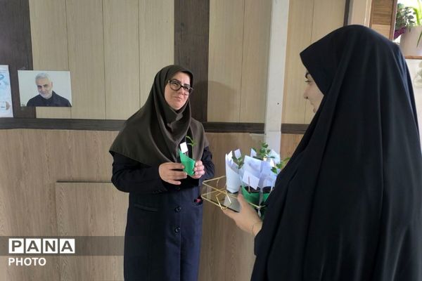 نارنج‌هایی به یاد شهدا؛ هدیه‌ای سبز برای سلامت