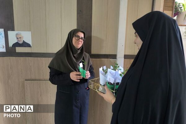 نارنج‌هایی به یاد شهدا؛ هدیه‌ای سبز برای سلامت