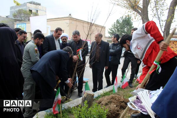 کاشت نهال همزمان با چهلمین روز شهادت فرشتگان میناب 