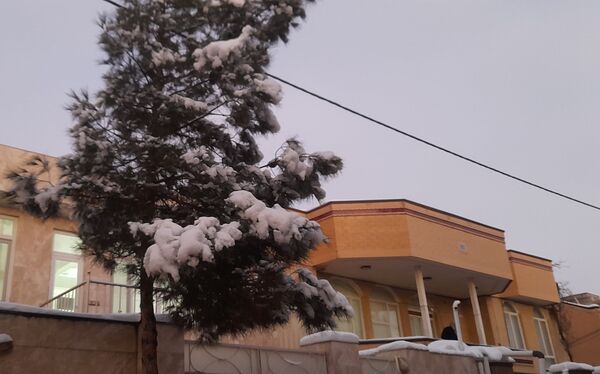 خراسان رضوی به استقبال زمستان رفت