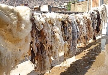 وقتی سنت و طبیعت در هم می‌آمیزند!