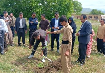  غرس ۱۲ نهال به یاد شهدای جنگ رمضان و رهبر شهید انقلاب در روستای الک