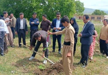  غرس ۱۲ نهال به یاد شهدای جنگ رمضان و رهبر شهید انقلاب در روستای الک