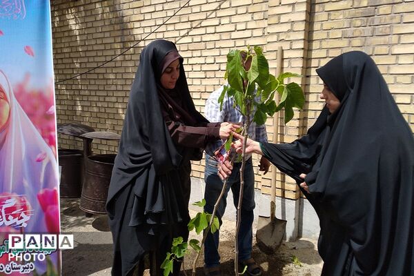 کاشت نهال به یاد یاسمن‌های میناب و شهیده دانش‌آموز نازنین زهرا سیفی 