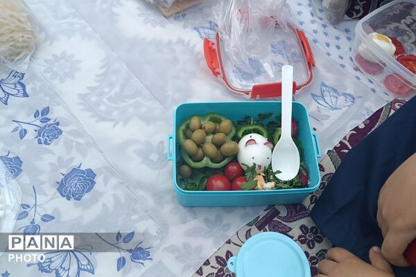 به وقت سلامتی؛ پیوند روز جهانی غذا و تخم‌مرغ در دبستان علامه طباطبایی (ره)