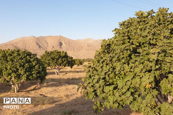 ظرفیت‌های گردشگری مذهبی و طبیعی استهبان