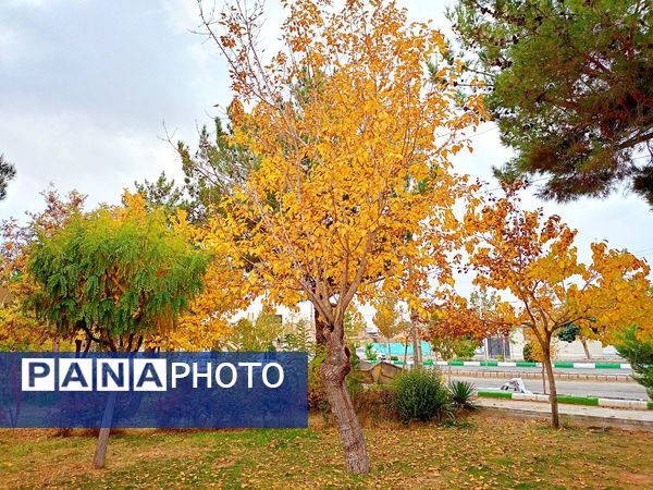 کاشمر در برگریزان پاییز