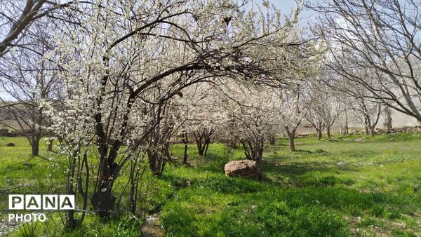زیبایی‌های دره‌باغ؛ مجموعه‌ای از تصاویر بکر و دیدنی