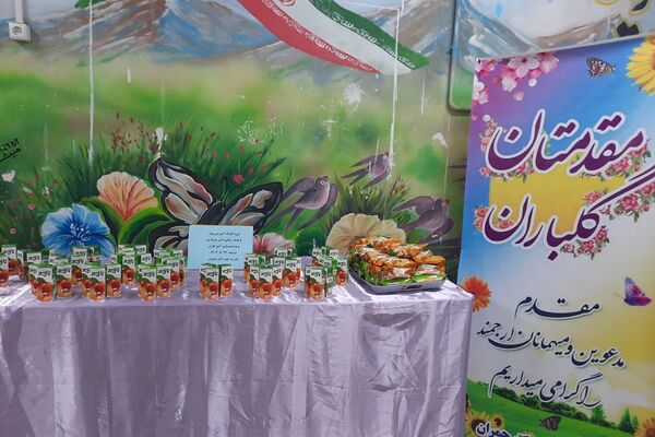  کارگاه آموزشی توانا در دبستان شهید دکتر چمران ناحیه دو شهرری 