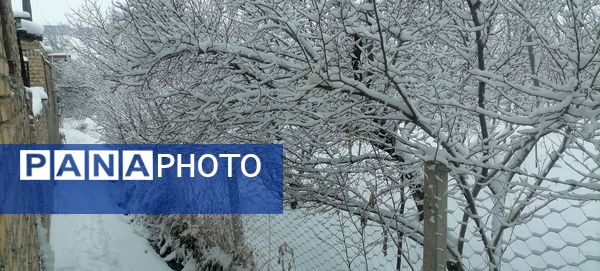 بارش اولین برف در بهمن ماه در شهر بار 