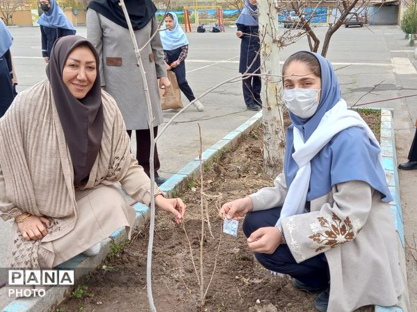 درختی برای زندگی؛ یادواره‌ای برای شهدا