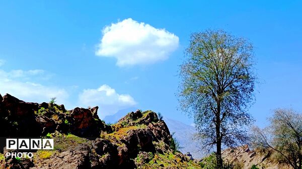 طبیعت هرگز تکراری و خسته‌کننده نمی‌شود