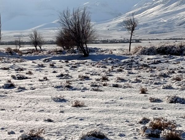برف زمستانی مهمان شهرستان کیار شد