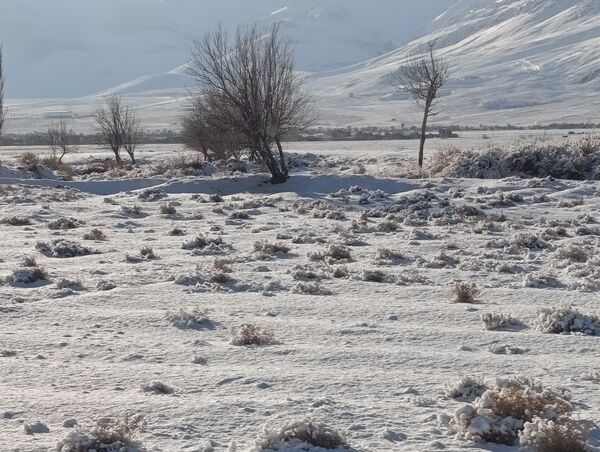برف زمستانی مهمان شهرستان کیار شد