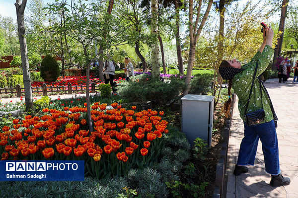 جشنواره لاله ها در کرج