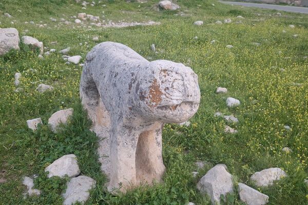 قبرستانی تاریخی و سرسبز به قدمت چند صد ساله در فارس