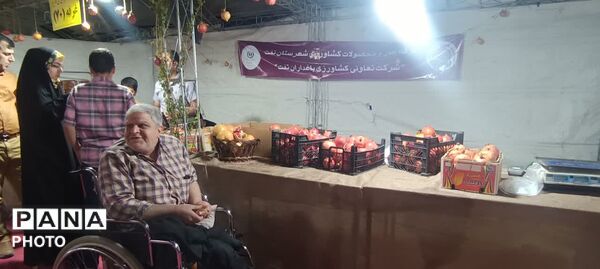 جشنواره انار تفت