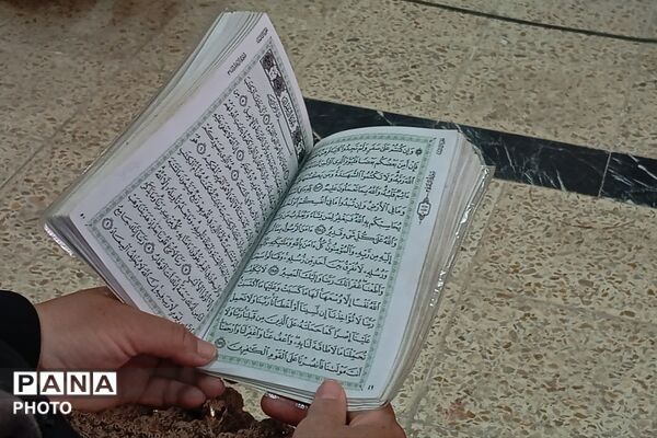 ویژه برنامه «شمین رضوی» در شهر بن 
