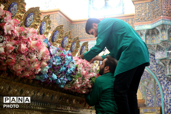 گل آرایی ضریح مطهر حضرت معصومه(س) در شب میلاد امام رضا(ع)