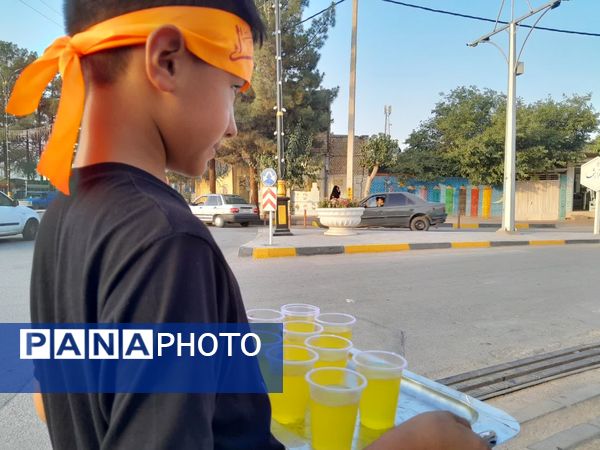 موکب حضرت رقیه(س) شهر حبیب آباد