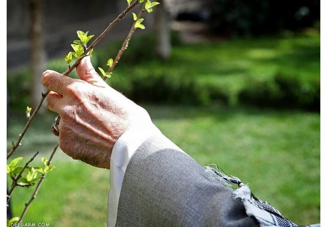 به مناسبت روز درختکاری 