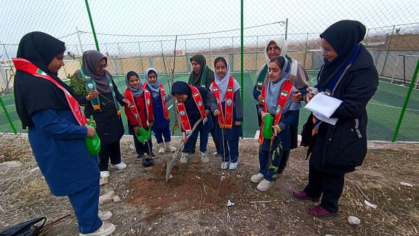درختکاری در دبستان شهید ذکاوتی مایوان