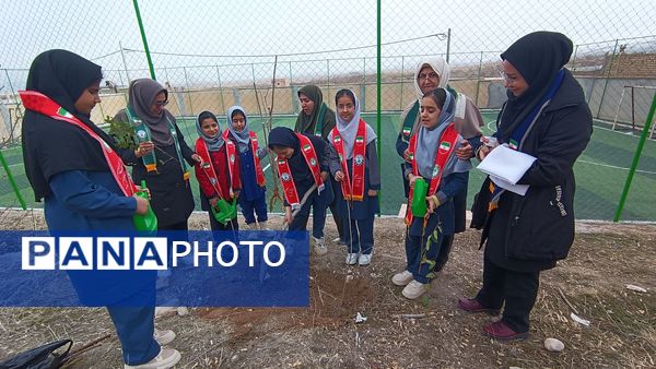 درختکاری در دبستان شهید ذکاوتی مایوان